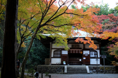 竹の寺 地蔵院 001