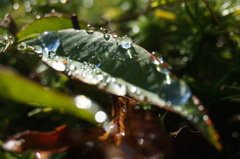 水滴 3