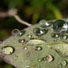 水滴 1