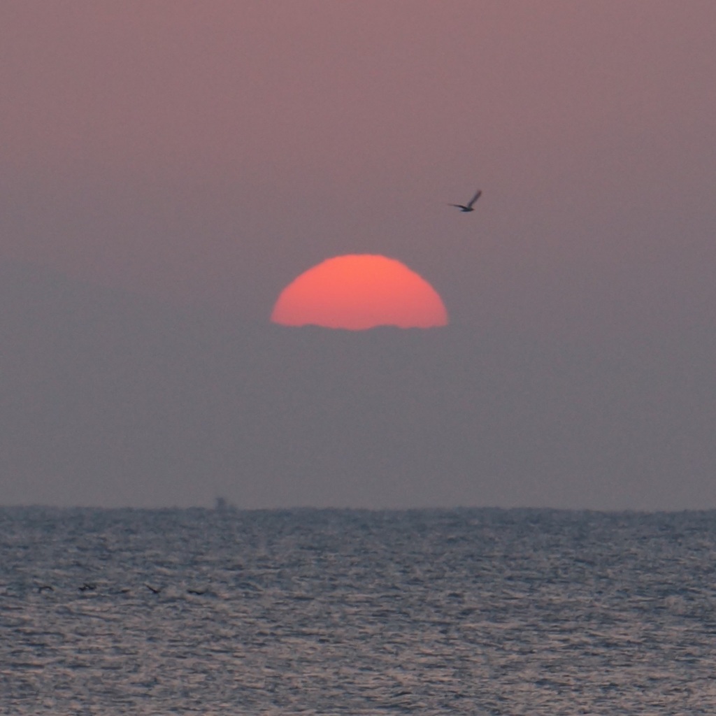 夜明けの浜 8