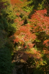 紅葉と滝