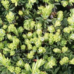 滴 5