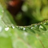 水滴 2