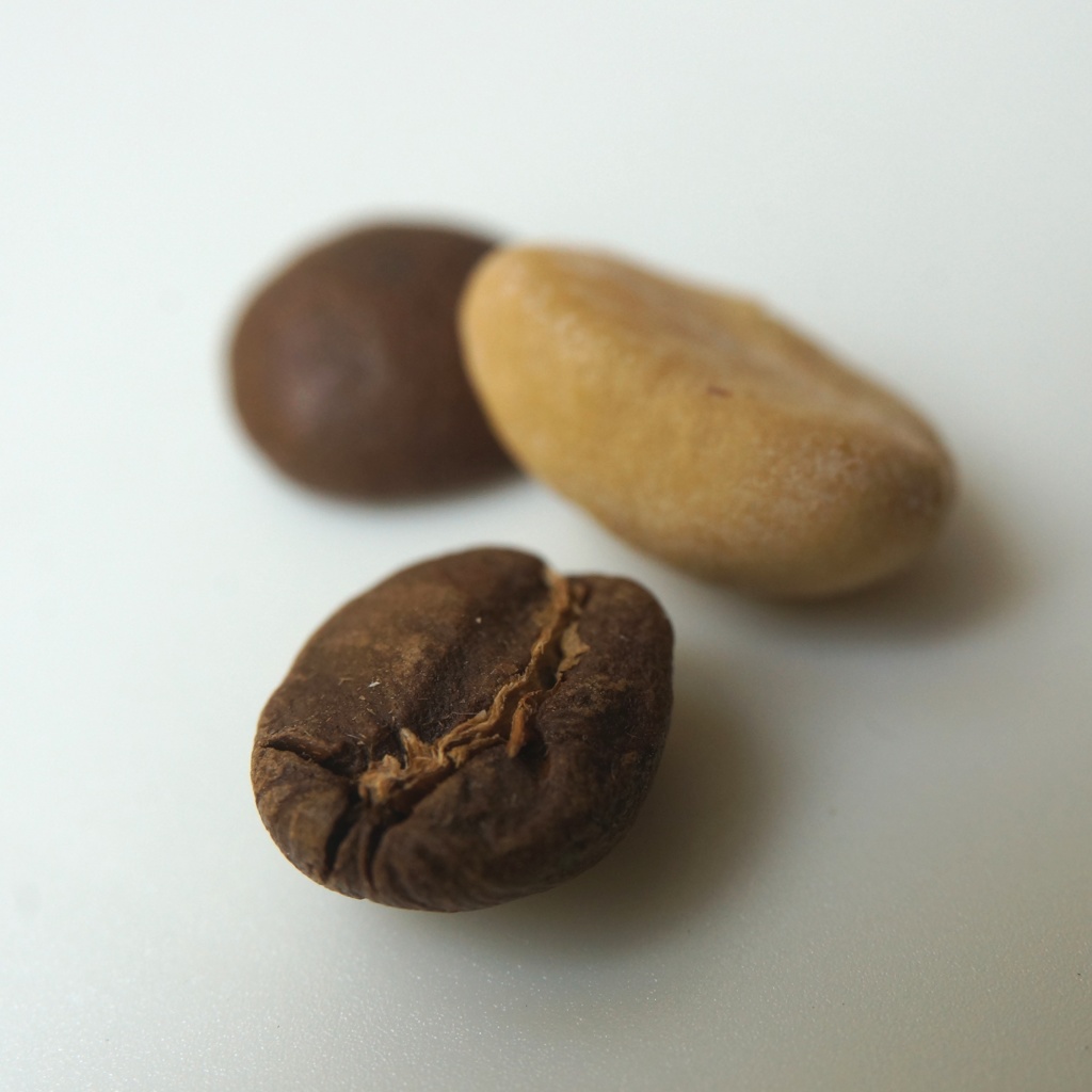 コーヒー豆 ２