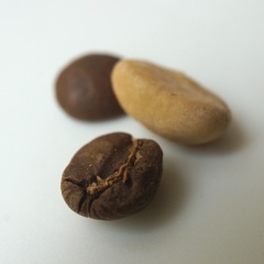 コーヒー豆 ２