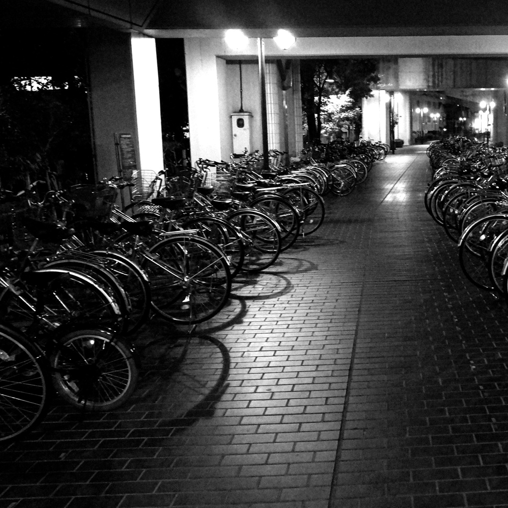駐輪場（夜)