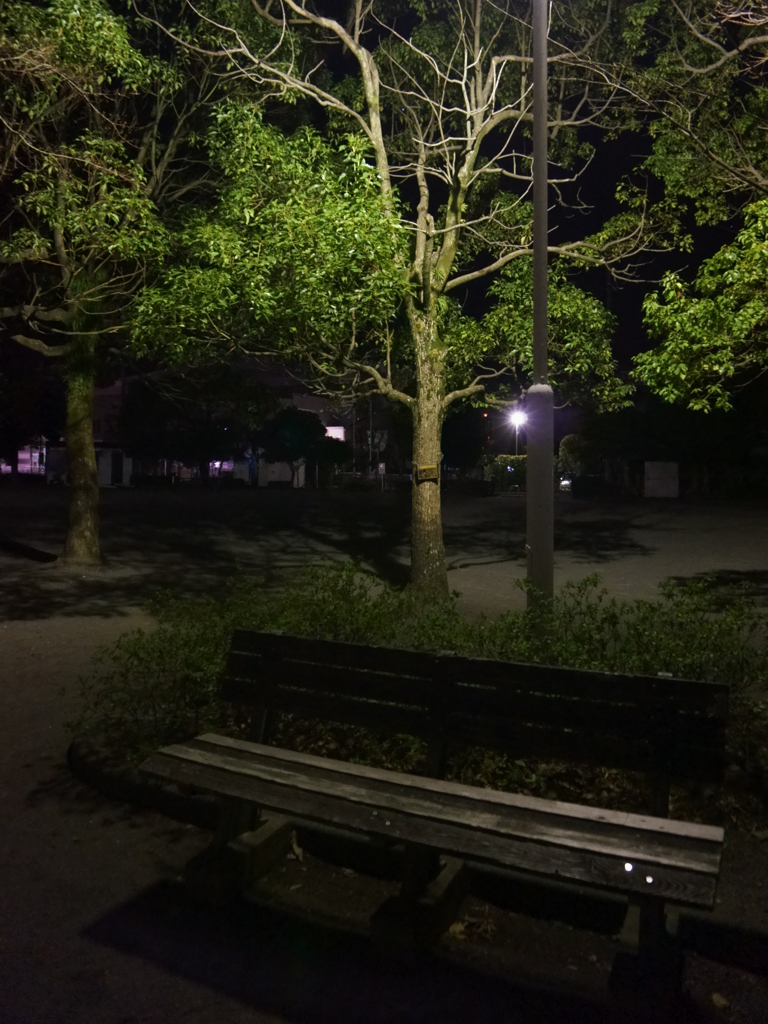 夜の公園