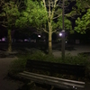 夜の公園