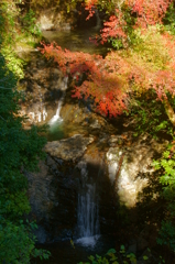 紅葉と滝 2