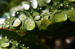 水滴 3