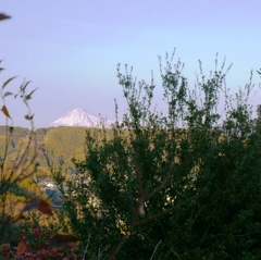 我が街からの富士山
