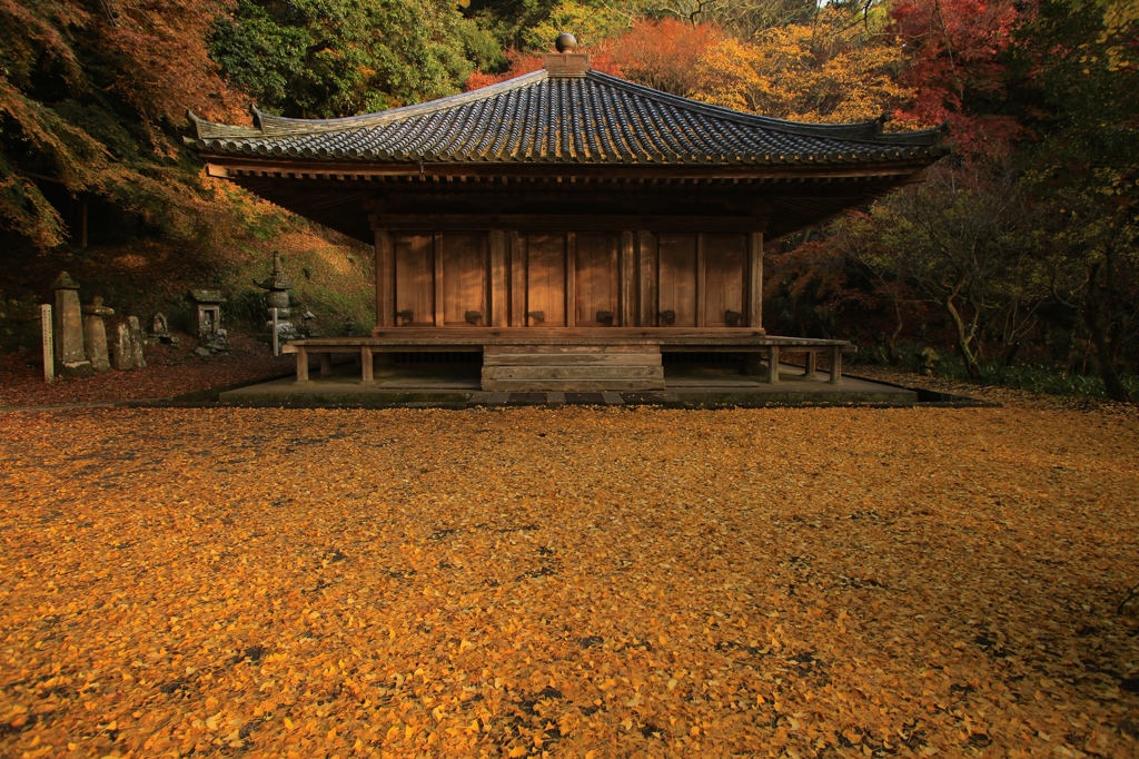 晩秋の富貴寺