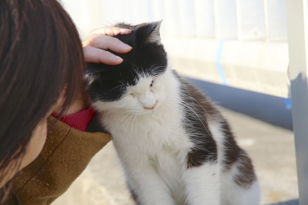 甘えん坊