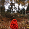 存在感
