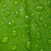 雨上がり