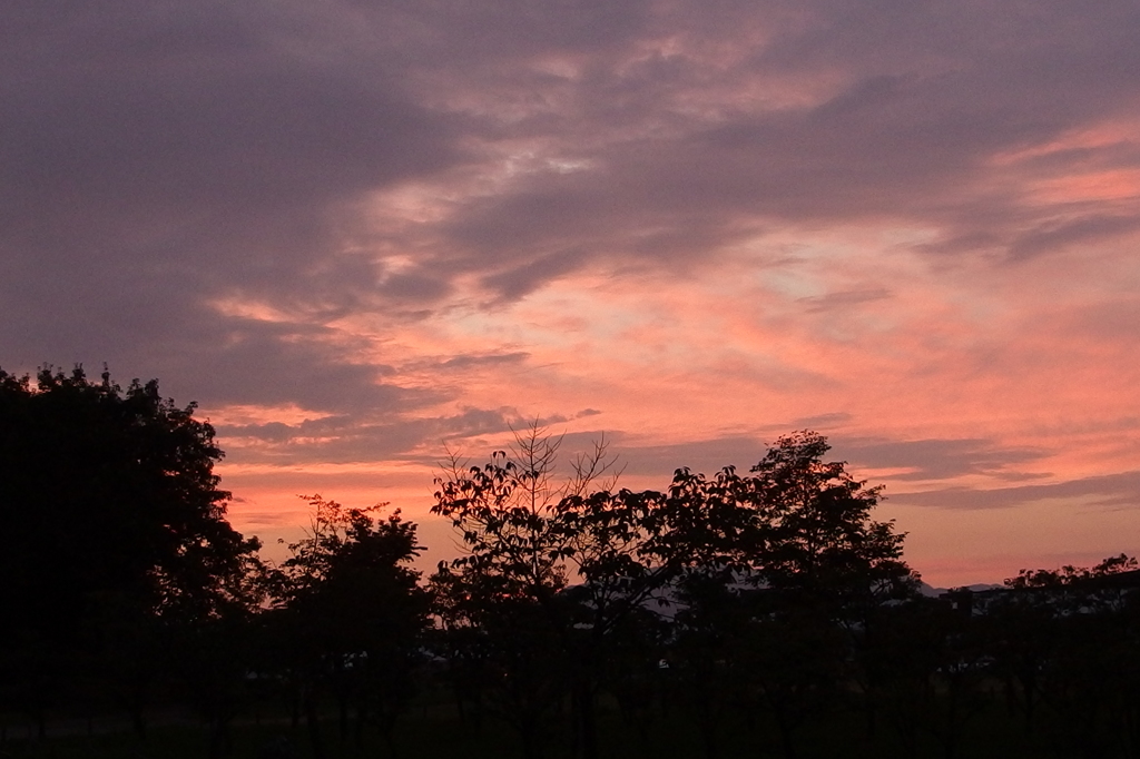 夕焼け（梅小路公園から）