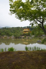 金閣寺010