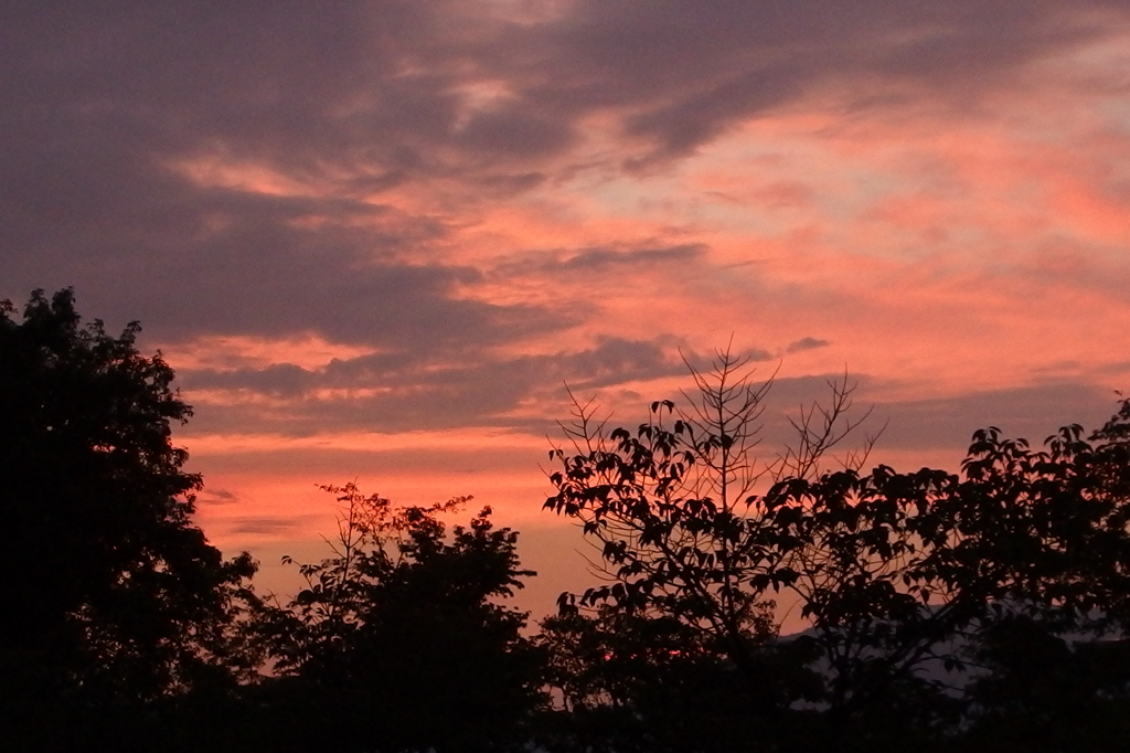 夕焼け（梅小路公園から）