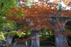 少し紅葉
