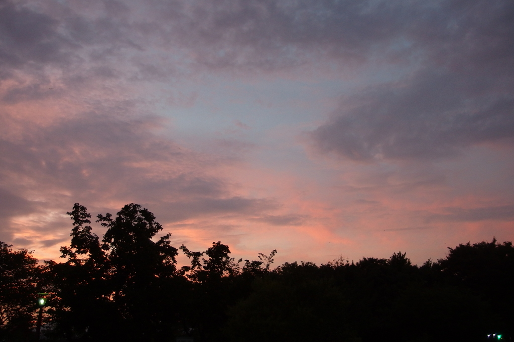 夕焼け（梅小路公園から）