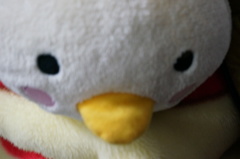 撮った覚えがないんだけど