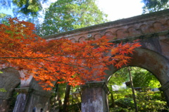 紅葉の季節はまだ