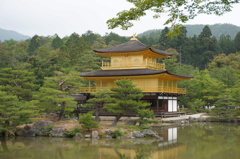 金閣寺007