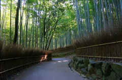 嵯峨野散歩