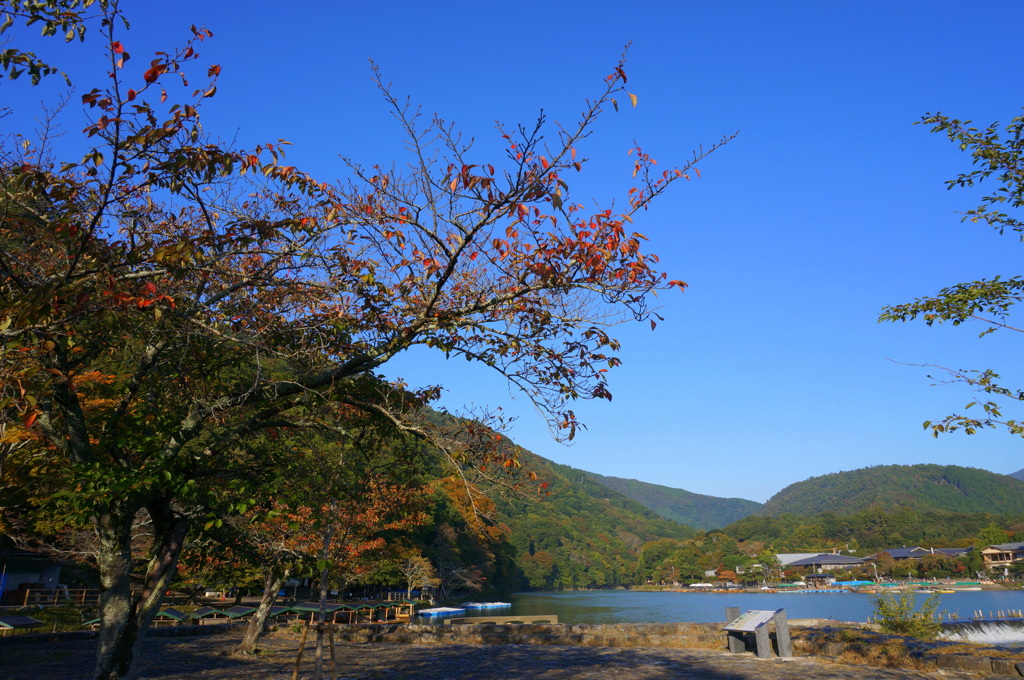 嵐山から