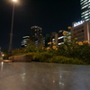 バラ園と夜景