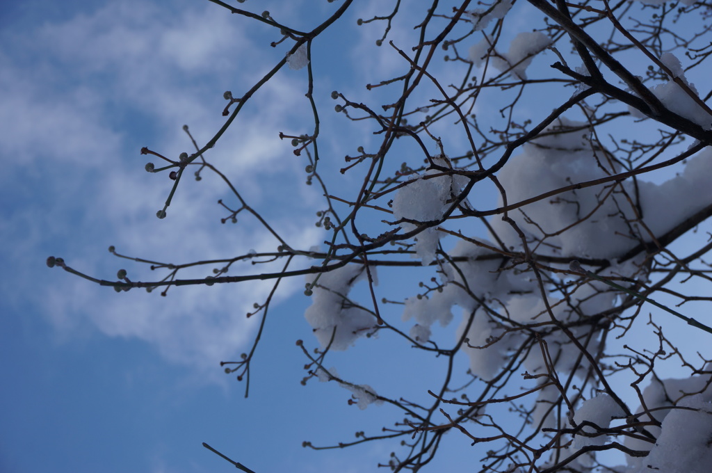 雪と空と雲