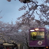 桜と鉄道と鉄道ファン
