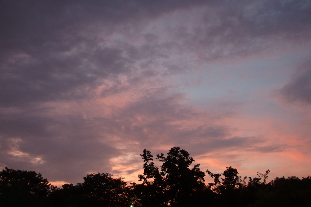 夕焼け（梅小路公園から）