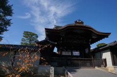 同じ形の雲
