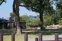 東寺から見える京都タワー