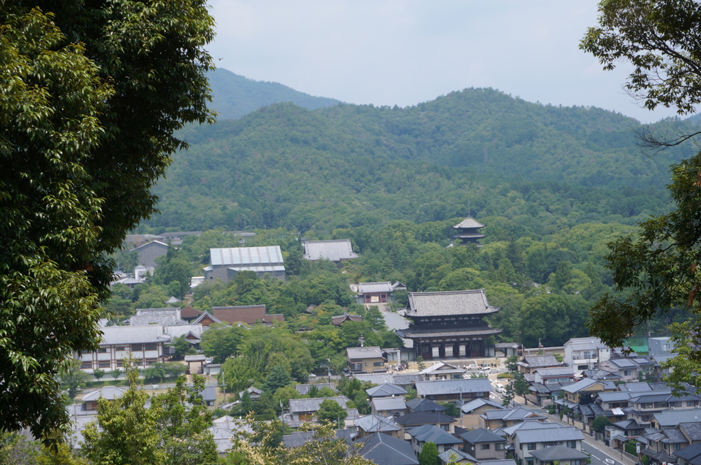 双ヶ岡の一の丘から仁和寺が見える