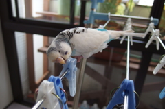 久々の遊び場