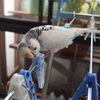 久々の遊び場