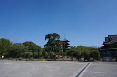 東寺と青空