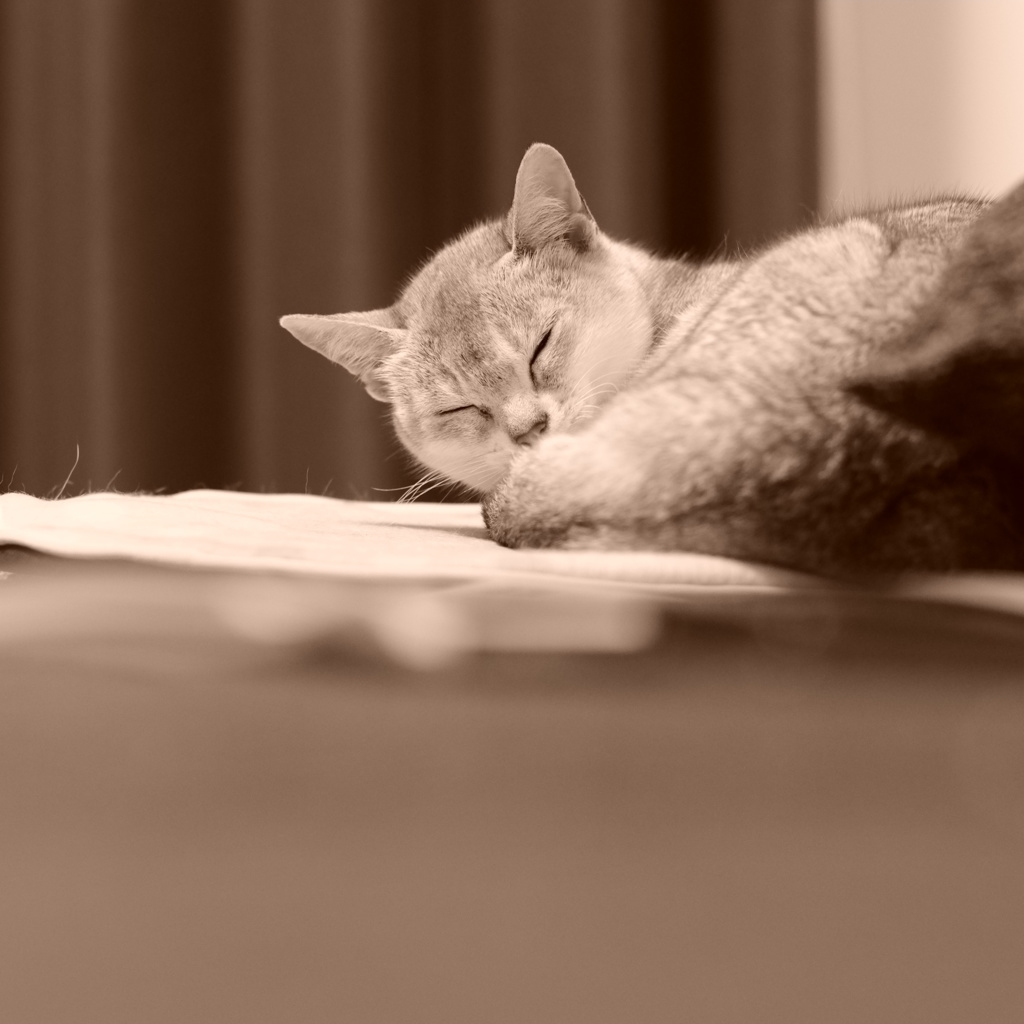 居眠り
