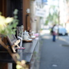 好きな光