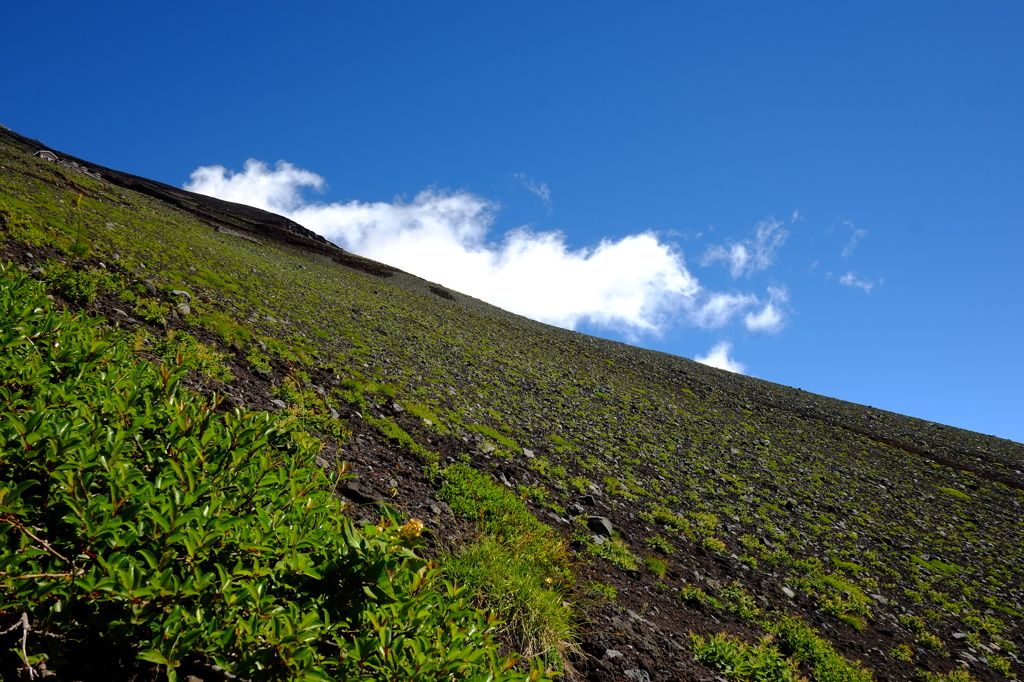 夏の山