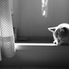 日当たり良好～