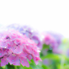 晴れた日に