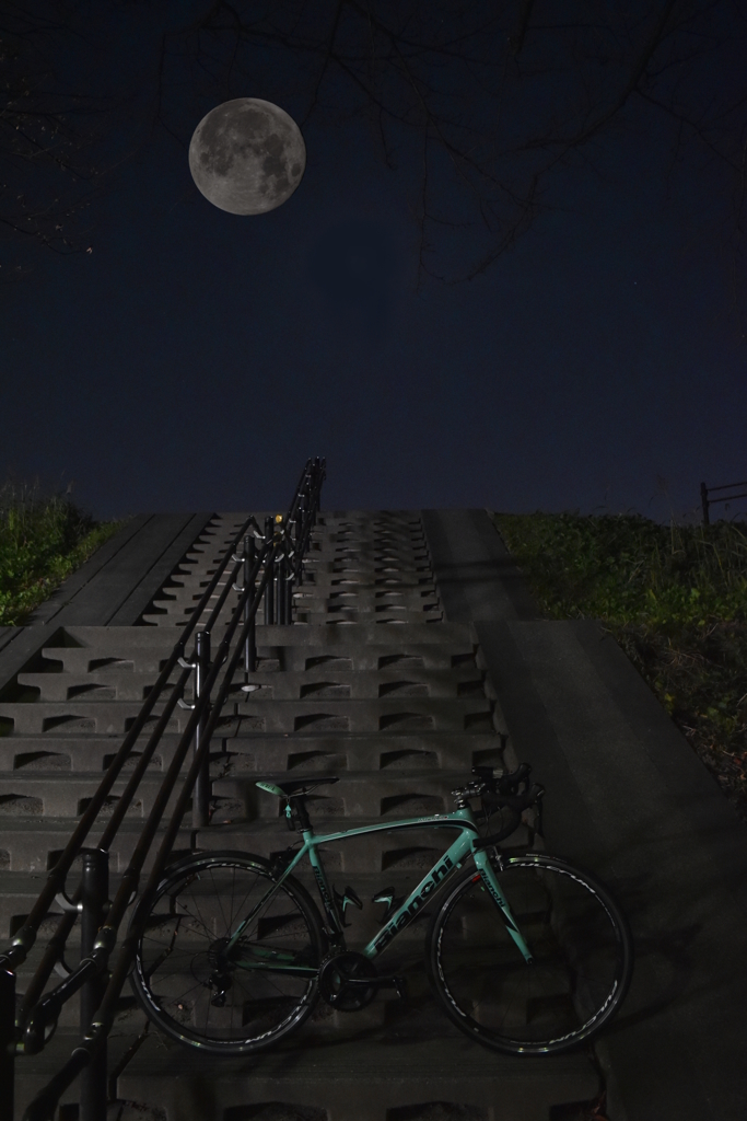 自転車と月と
