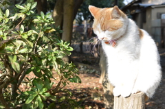 今日は、ちょっと。。。