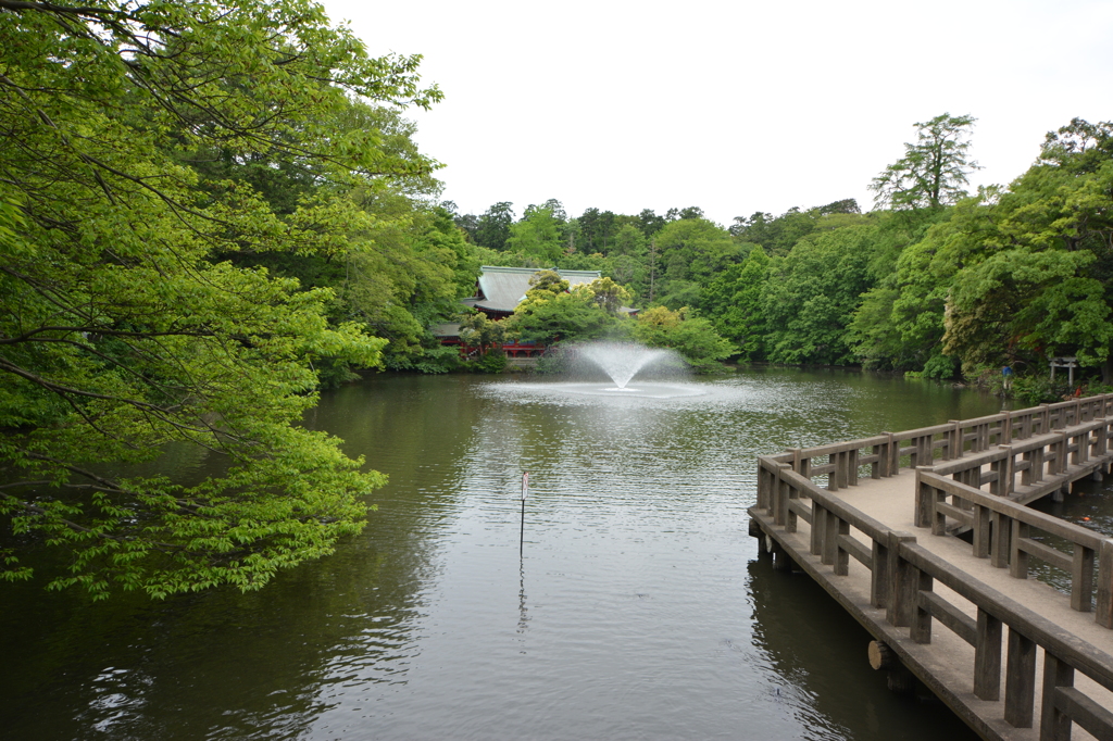 池と橋と噴水と