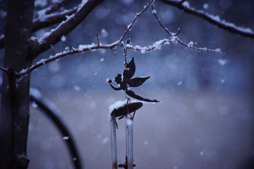 雪の妖精