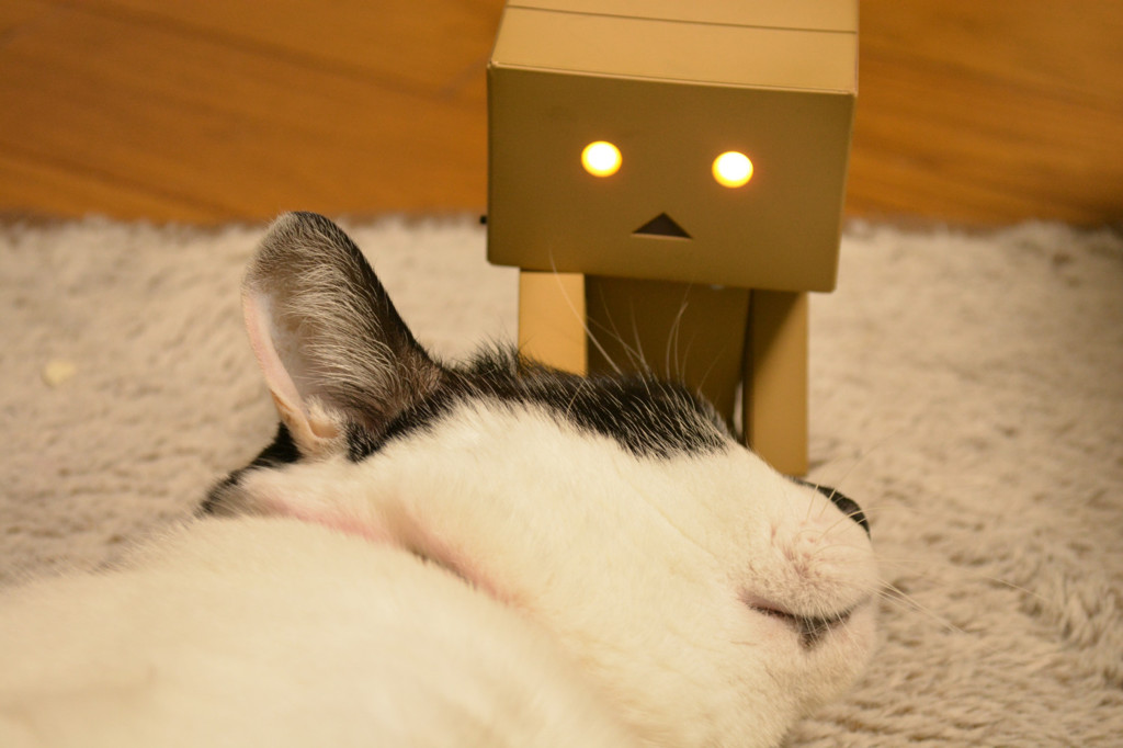 なかよし…