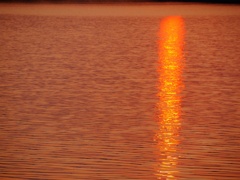 夕日